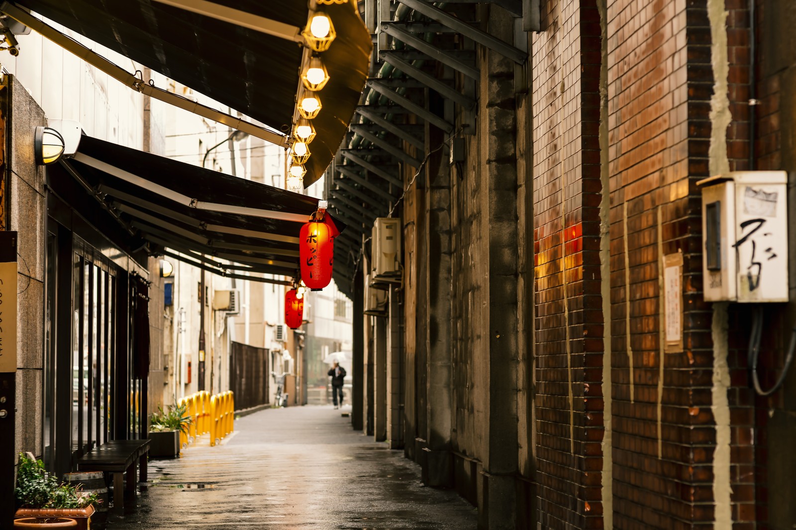 飲食店売上アップ